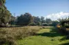 5 & 7 Teggs Road, Gravelly Beach, Tas 7276-Image