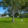 5-7 Thompson Esplanade, Russell Island, Qld 4184-Image