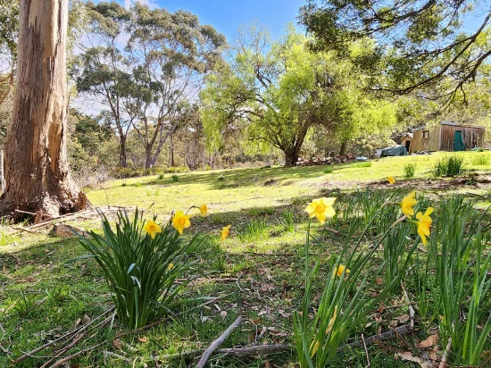 5 Alexander Street, Cornwall, Tas 7215