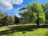 5 Alexander Street, Cornwall, Tas 7215-Image