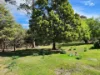 5 Alexander Street, Cornwall, Tas 7215-Image