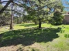 5 Alexander Street, Cornwall, Tas 7215-Image
