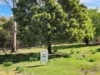 5 Alexander Street, Cornwall, Tas 7215-Image