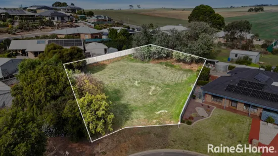 5 Borrett Court, Strathalbyn, SA 5255