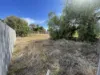 5 Bourke Street, Cobar, NSW 2835-Image