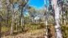 5 Brodziac Close, Mareeba, Qld 4880-Image