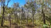 5 Brodziac Close, Mareeba, Qld 4880-Image