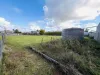 5 Brolga Close, Buxton, Qld 4660-Image