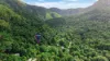 5 Cananga Close, Kamerunga, Qld 4870-Image