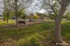 5 Elyard Place, Dunlop, ACT 2615-Image