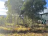 5 Inlet Ave, Russell Island, Qld 4184-Image