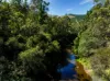 5 Kinchela Court, Bright, Vic 3741-Image