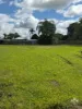 5 McKenzie Street, Ingham, Qld 4850-Image