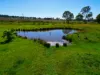 5 Merle Court, Yarraman, Qld 4614-Image