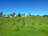 5 Merle Court, Yarraman, Qld 4614-Image