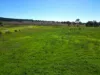 5 Merle Court, Yarraman, Qld 4614-Image