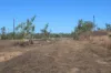 5 Mielang Road, Blackmore, NT 0822-Image