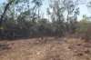 5 Mielang Road, Blackmore, NT 0822-Image