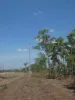5 Mielang Road, Blackmore, NT 0822-Image