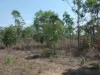 5 Mielang Road, Blackmore, NT 0822-Image