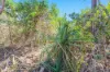 5 Myrmidon Circuit, Dundee Beach, NT 0840-Image