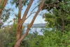 5 Origin Place, Midway Point, Tas 7171-Image
