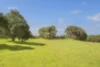 5 Panorama Rise, Hamelin Bay, WA 6288-Image