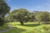5 Panorama Rise, Hamelin Bay, WA 6288-Image