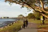 5 Peregian Way, Newport, Qld 4020-Image