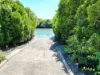 5 Phillips Street, Cardwell, Qld 4849-Image