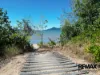 5 Phillips Street, Cardwell, Qld 4849-Image