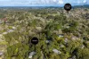 5 Pirralilla Place, Stirling, SA 5152-Image
