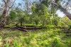 5 Pirralilla Place, Stirling, SA 5152-Image