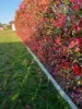 5 Second Avenue, Millfield, NSW 2325-Image
