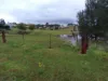 5 Second Avenue, Millfield, NSW 2325-Image