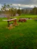 5 Second Avenue, Millfield, NSW 2325-Image