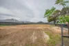 5 Wallaby Court, Thurgoona, NSW 2640-Image