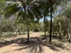 5 Wallaby Way, Horseshoe Bay, Qld 4819-Image