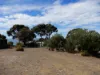 5 Warawee Road, American River, SA 5221-Image