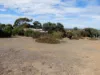 5 Warawee Road, American River, SA 5221-Image