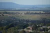 5/Wedmore Crescent Wedmore Crescent, Sunbury, Vic 3429-Image