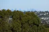 5/Wedmore Crescent Wedmore Crescent, Sunbury, Vic 3429-Image