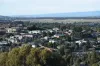 5/Wedmore Crescent Wedmore Crescent, Sunbury, Vic 3429-Image