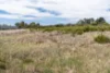 5 William Street, Oatlands, Tas 7120-Image