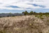 5 William Street, Oatlands, Tas 7120-Image