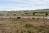 5 William Street, Oatlands, Tas 7120-Image