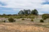 5 William Street, Oatlands, Tas 7120-Image