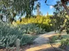 5 Wirilda Crescent, Inverloch, Vic 3996-Image