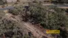 50 Charbon Road, Charbon, NSW 2848-Image