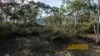 50 Charbon Road, Charbon, NSW 2848-Image